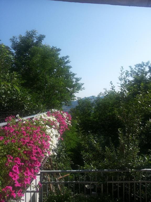 Fra Bosco e Cielo B&B Apartment in Marche
