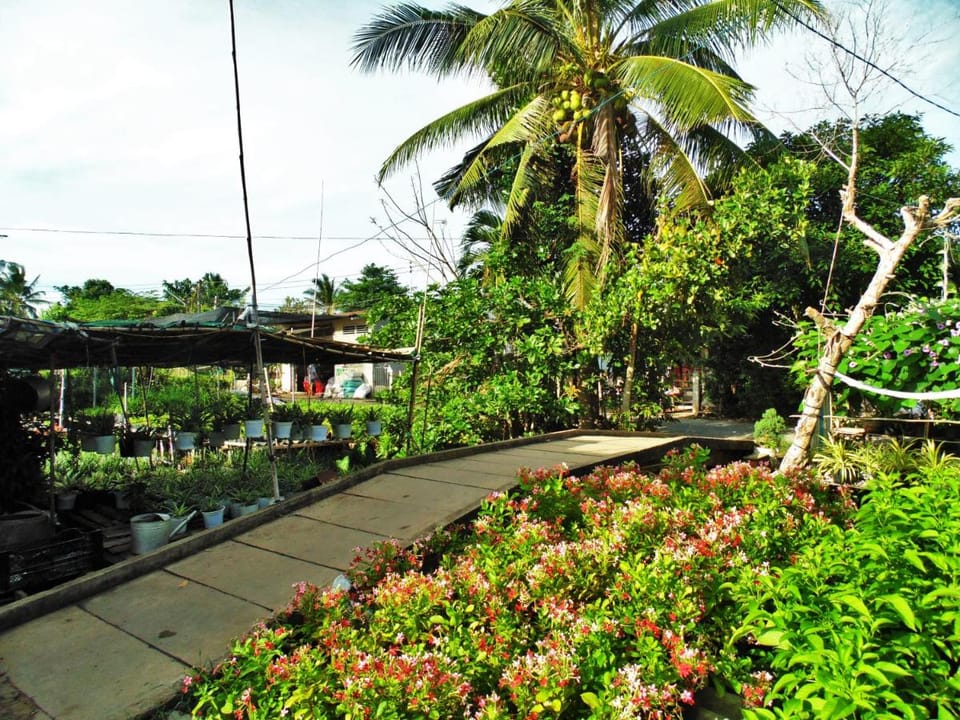 Flower & Frog Homestay Vacation rental in Cambodia