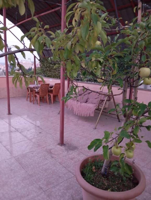 Aparthotel Otin Hotel in Tbilisi, Georgia