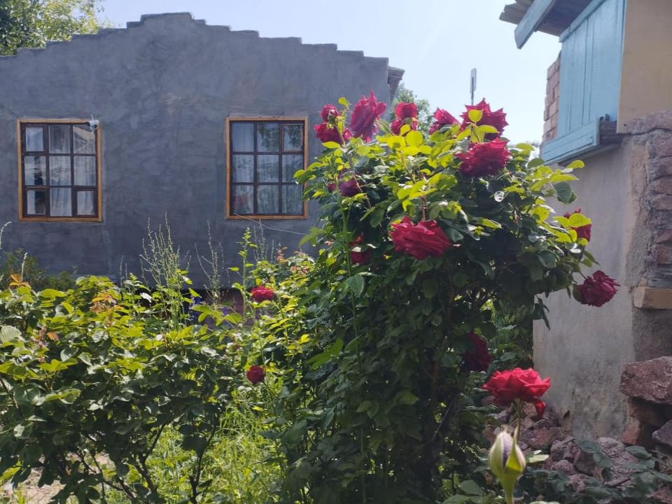Gladiolus Hotel in Almaty Region, Kazakhstan