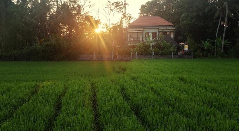 Demank Hidden Guesthouse Bed and Breakfast in Sukawati