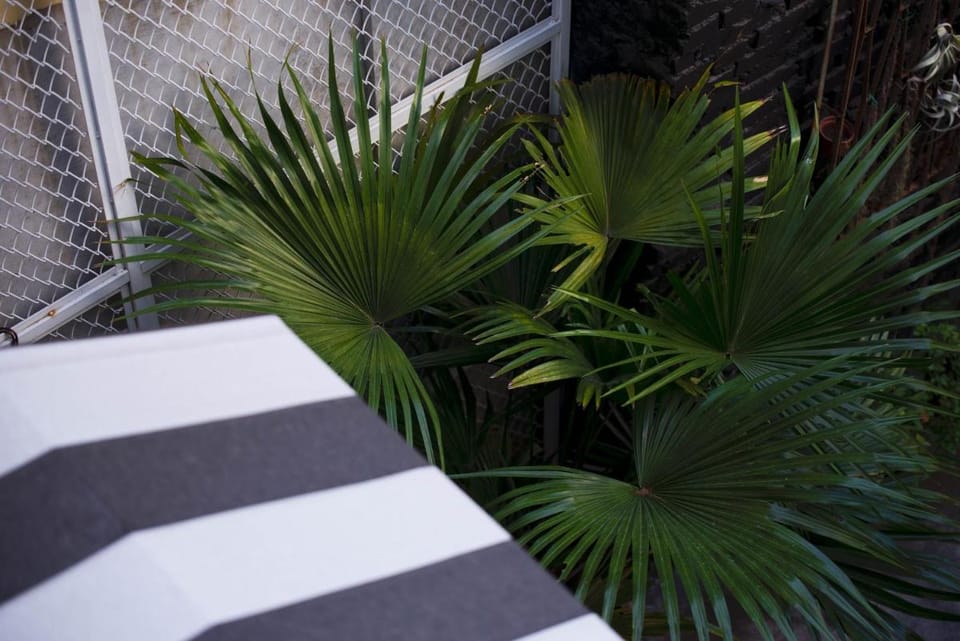 被愛咖啡小旅館 Birdeye Garden Bed and Breakfast in Kaohsiung