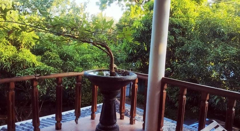 GreenWood Udawalawa Safari Resort Bed and Breakfast in Southern Province