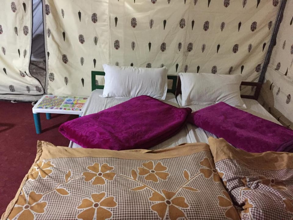 Himalayan Routes Camp Sarchu Campground/ 
RV Resort in Himachal Pradesh