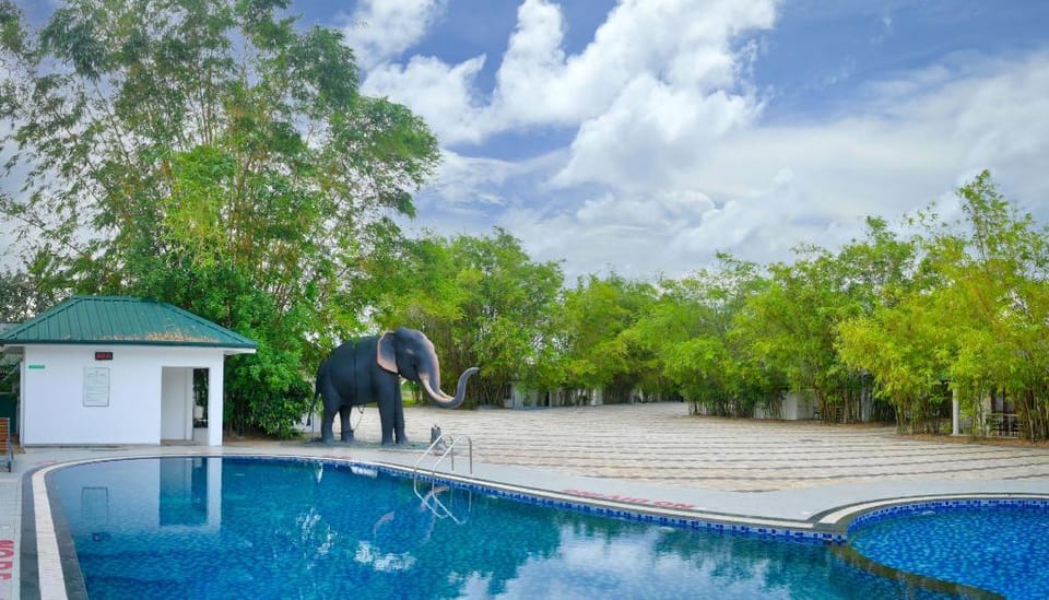 Contour Backwaters Hotel in Kerala