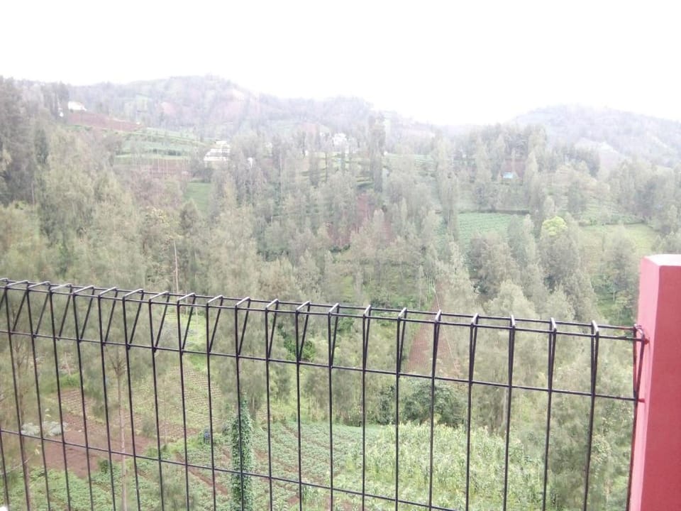 CASA BROMO HOMESTAY - FAMILY HOUSE Vacation rental in East Java