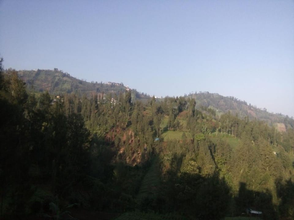 CASA BROMO HOMESTAY - FAMILY HOUSE Vacation rental in East Java