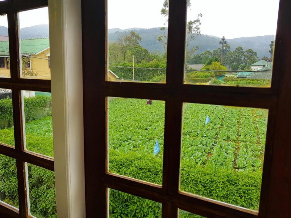 Nuwara Eliya Hills Rest Bed and Breakfast in Nuwara Eliya