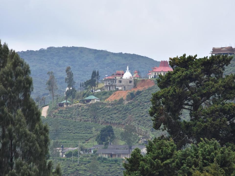 Nuwara Eliya Hills Rest Bed and Breakfast in Nuwara Eliya