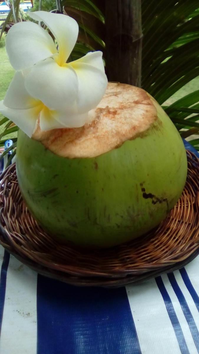 Shirley's Cottage - Pamilacan Island Bed and Breakfast in Central Visayas