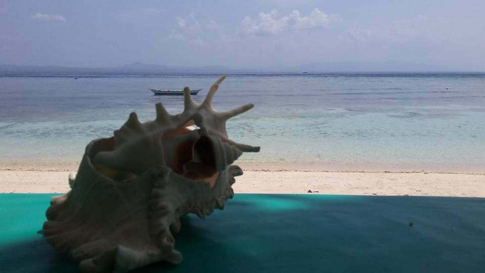 Shirley's Cottage - Pamilacan Island Bed and Breakfast in Central Visayas