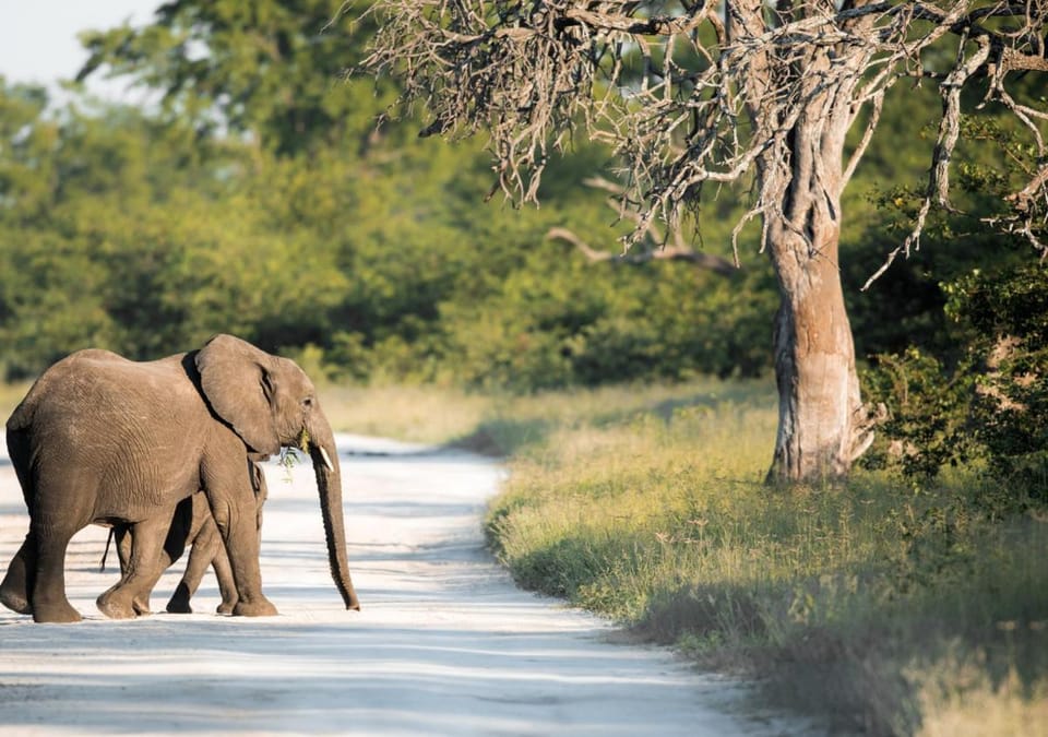 Hideaways Mogotlho Safari Lodge, Khwai River Lodge in Africa