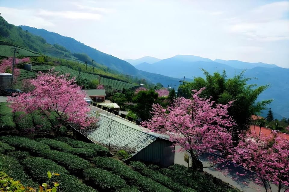 Shan Ming Show B&B Bed and Breakfast in Taiwan, Province of China