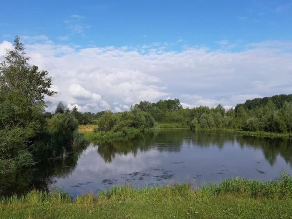Countryside Villa with Games Vacation rental in Gelderland, Netherlands