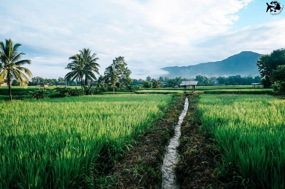 Hinpha Homestay Vacation rental in Laos
