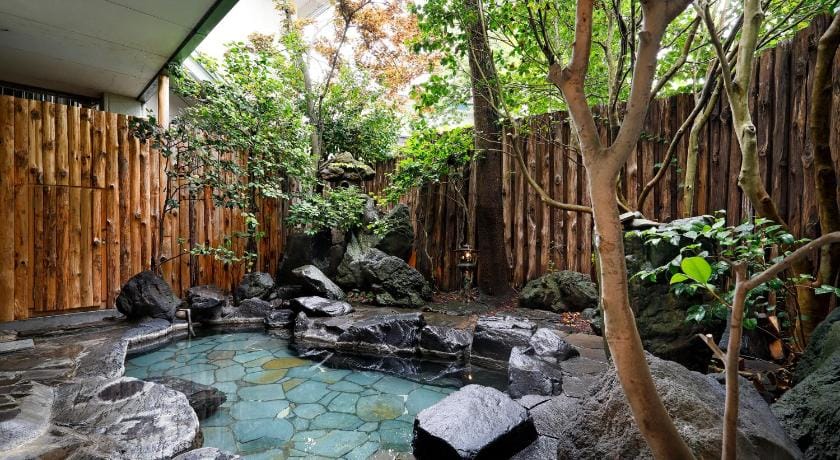 Tsubakikan Ryokan in Japan
