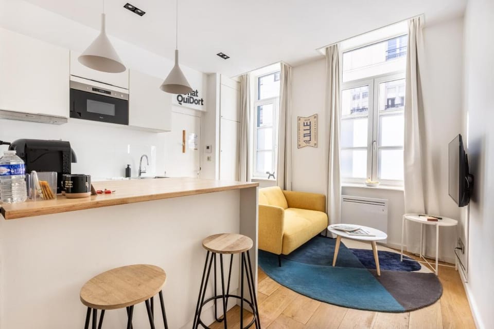 Au Chat Qui Dort Lille - Archives 18 Apartment in Lille