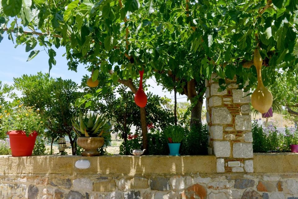 Athina's Apartment in Olive Grove Apartment in Faliraki, Greece