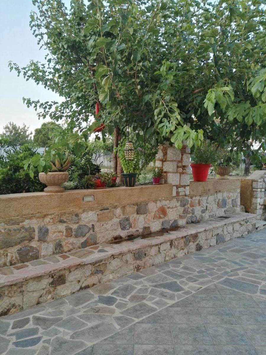 Athina's Apartment in Olive Grove Apartment in Faliraki, Greece