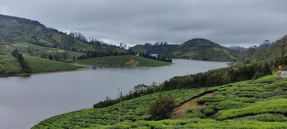 Shawn Dale Homestay Farm Stay in Kerala