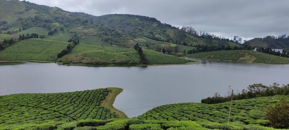 Shawn Dale Homestay Farm Stay in Kerala