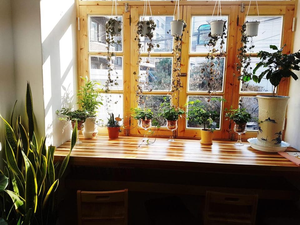 Time Travelers Relax Seoul Guesthouse - Foreigners Only Hotel in Seoul