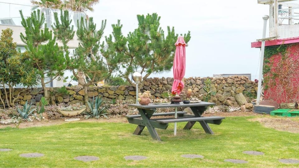 Jeju Kids and dolphin pension Bed and Breakfast in South Korea