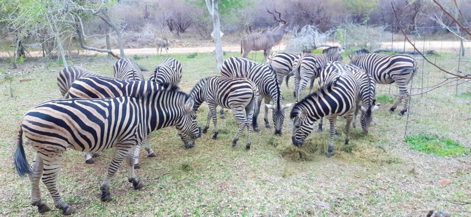 Kruger Riverside Lodge Lodge in South Africa