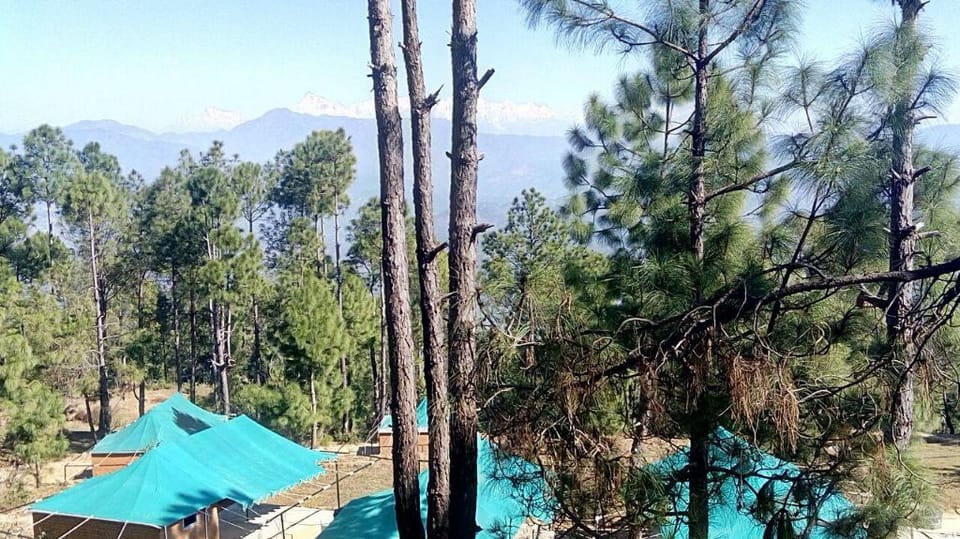 Bay Berry Camp & Resort Campground/ 
RV Resort in Uttarakhand