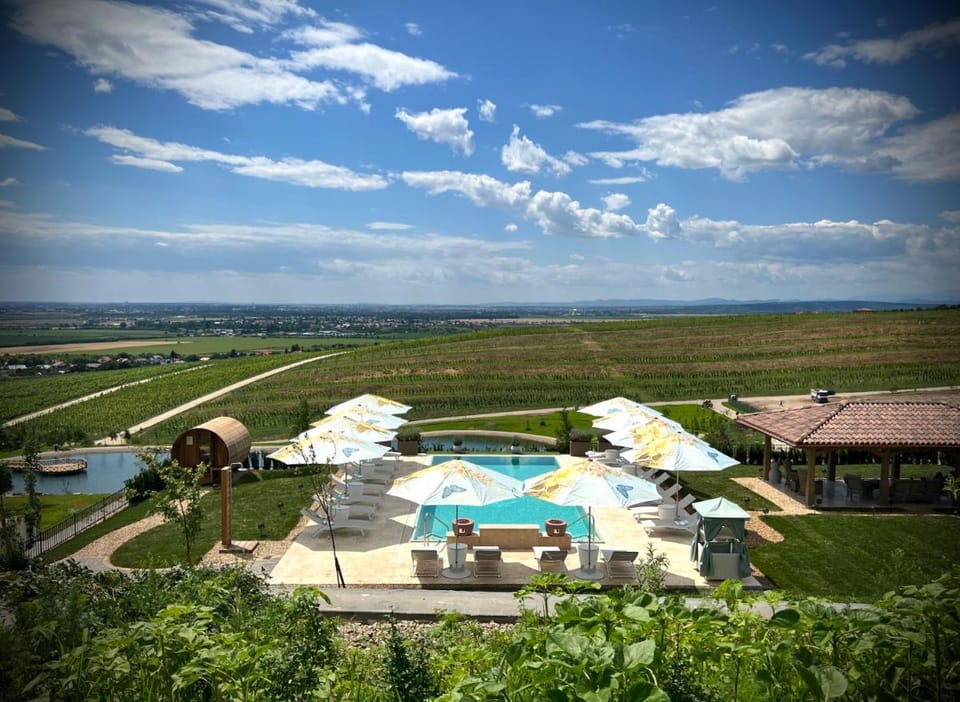 Casa Timiș - Wellness & Spa Resort Bed and Breakfast in Prahova, Romania