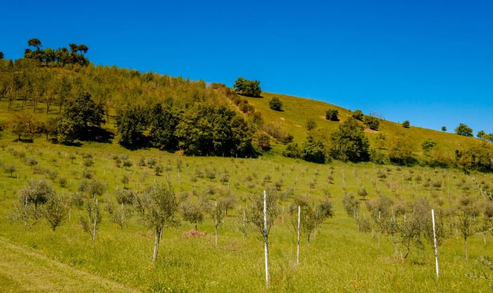 BolognaRoomscom - La Quercia Bed and Breakfast in Emilia-Romagna