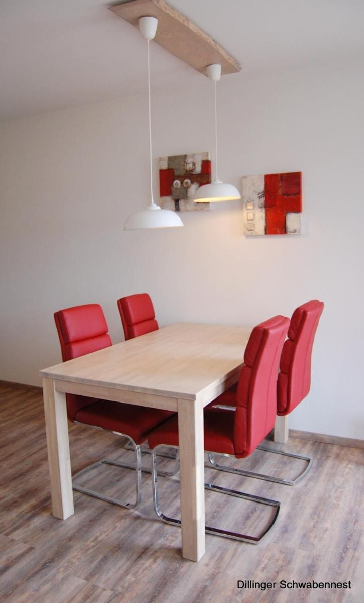 Apart Hotel Dillinger Schwabennest Vacation rental in Baden-Württemberg