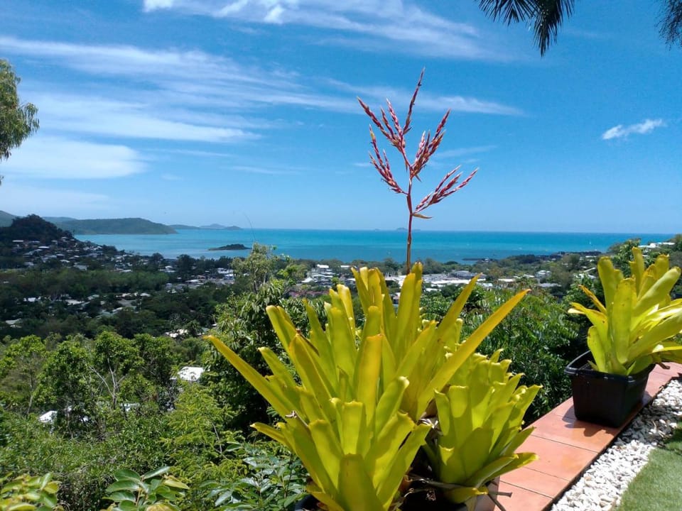 Yachtsmans Paradise, Whitsundays Bed and Breakfast in Whitsundays