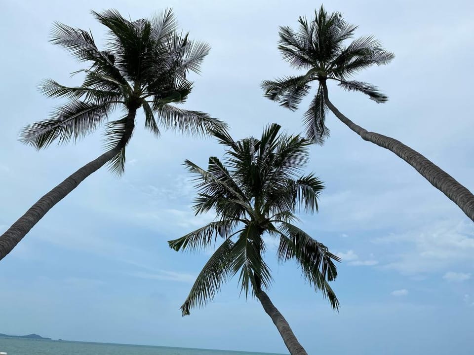 Samui Sea Breeze House (BH5) Villa in Ko Samui