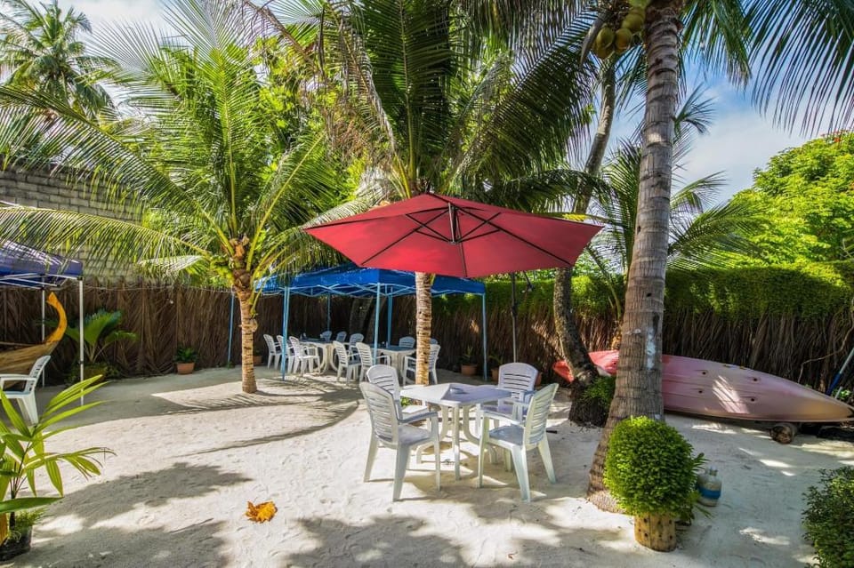 Shallow Lagoon Rasdhoo Bed and Breakfast in Maldives