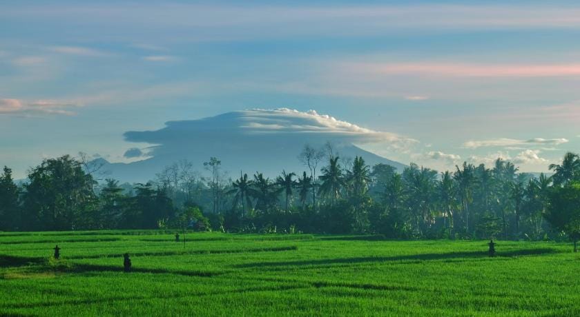 Putra Homestay Vacation rental in Sukawati