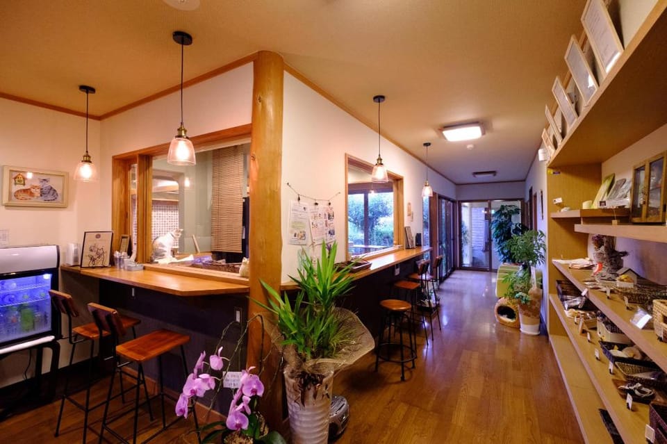 Yufuin Waraneko no Yado Hotel in Japan