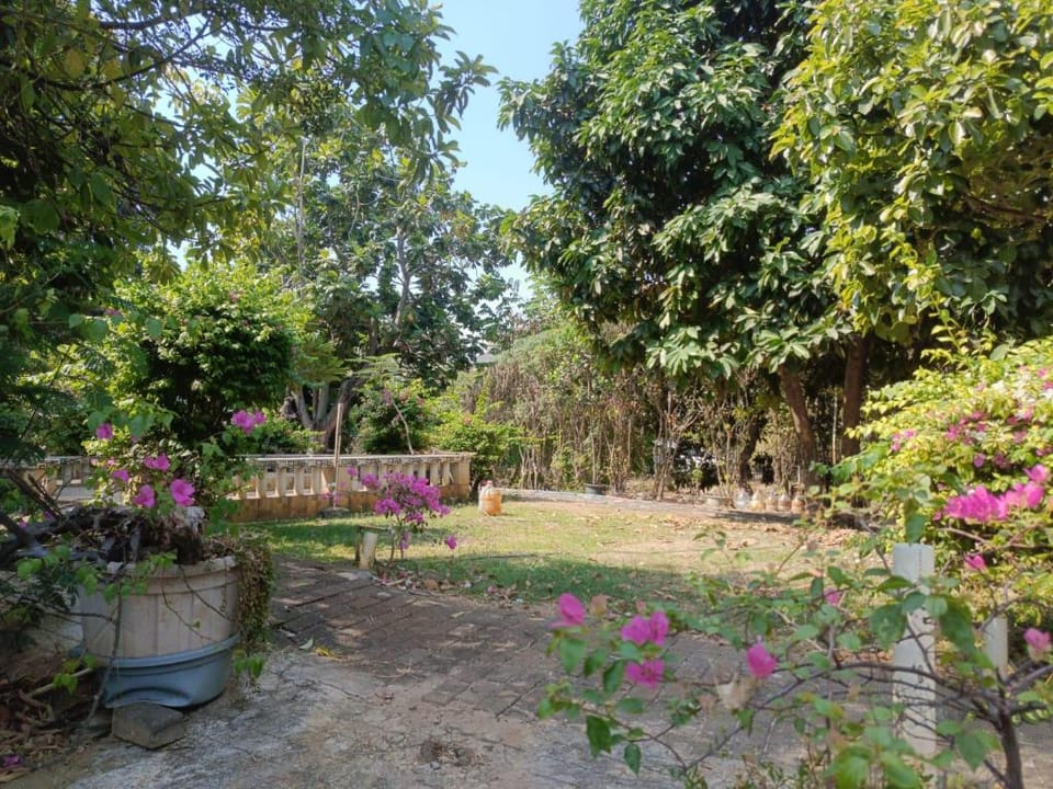 Chandrady Guesthouse Hotel in Jakarta
