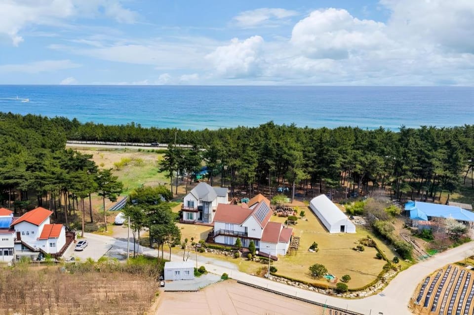Gangnueng Gadunji Pension Bed and Breakfast in South Korea