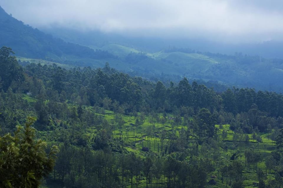 Mount View Munnar Hotel in Kerala