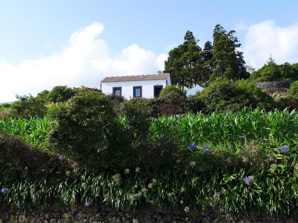 Areias da Prainha Vacation rental in Azores District