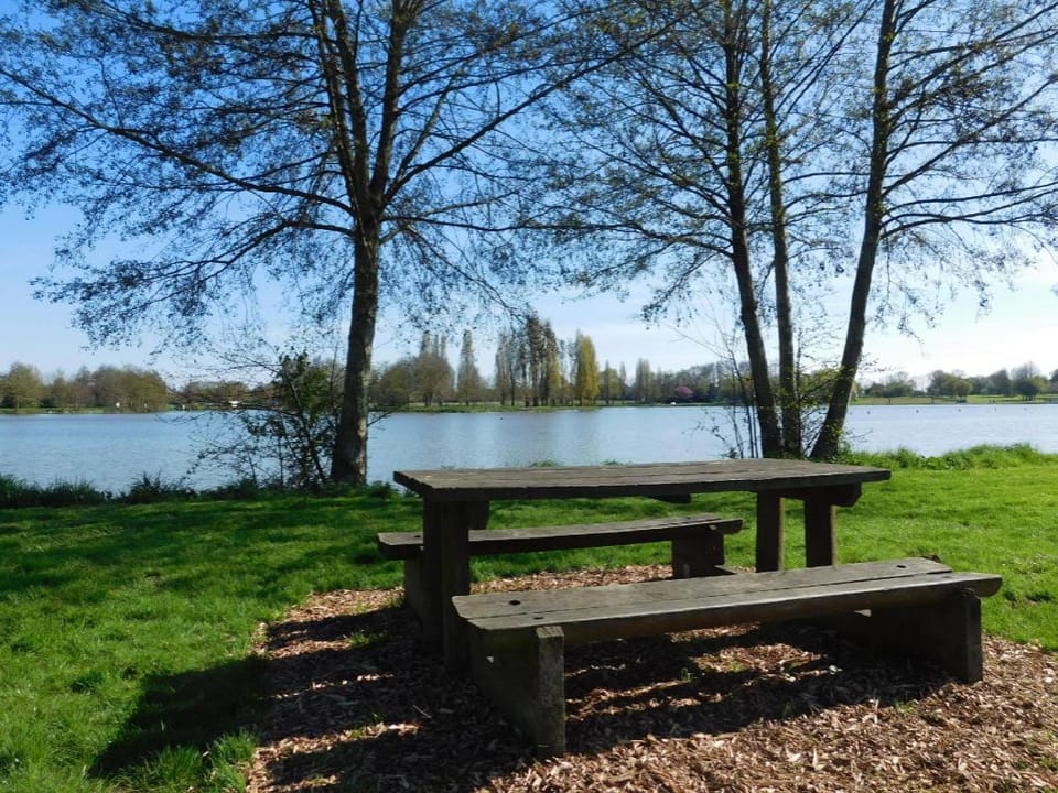 Camping de la Chesnaie Luxury tent in Pays de la Loire