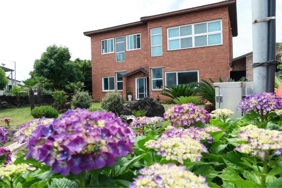 Jeju Ophirhouse Pension Bed and Breakfast in South Korea
