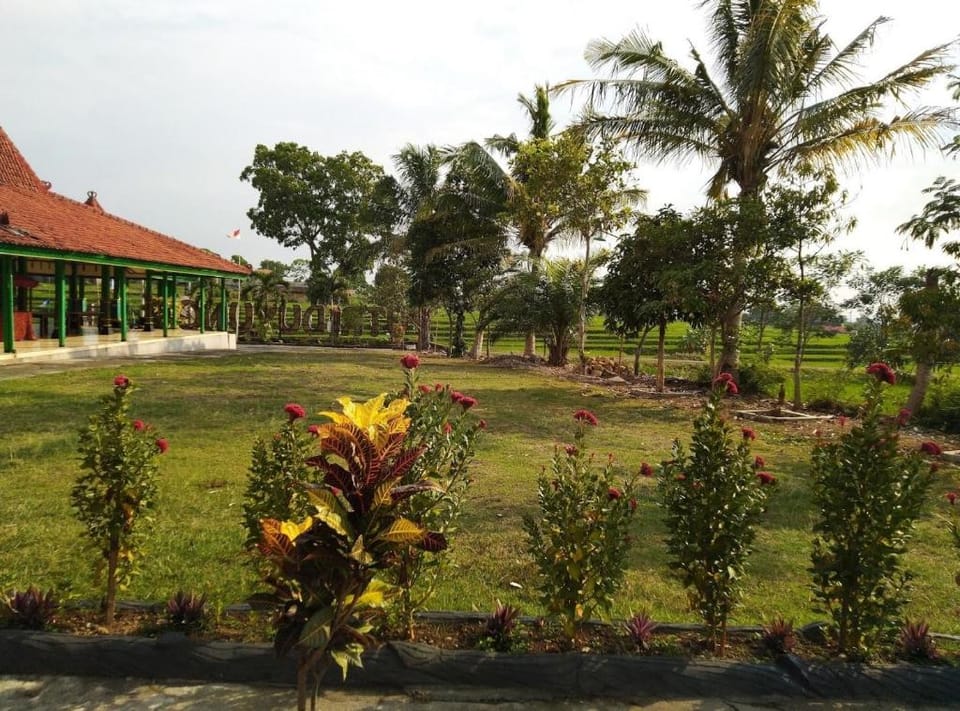 Putri Duyung Guest House Hotel in East Java