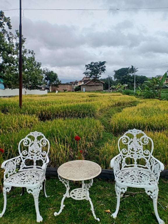 Putri Duyung Guest House Hotel in East Java