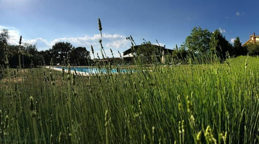 Unique Sorano Stay with Pool Vacation rental in Lazio