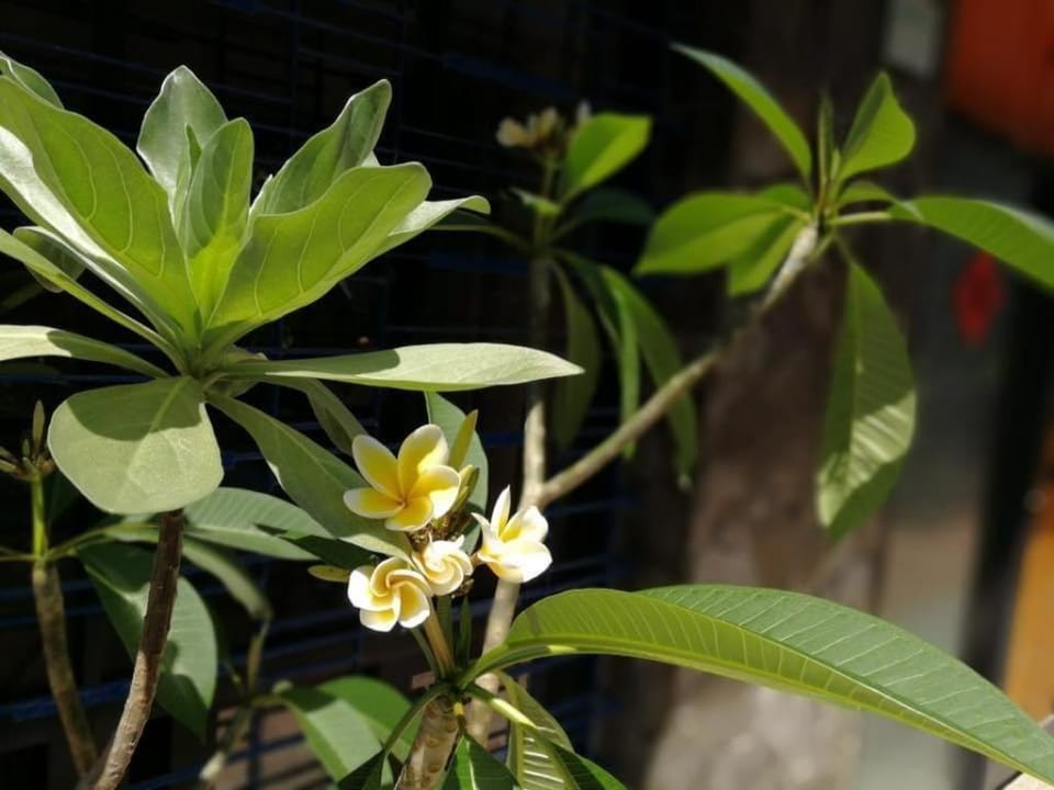 Tainan House Bed and Breakfast in Kaohsiung