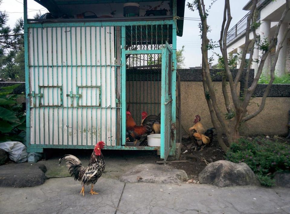 Elephant garden B&B Bed and Breakfast in Taiwan, Province of China