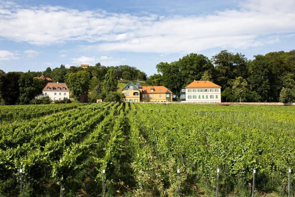 Weingut Haus Steinbach Vacation rental in Dresden
