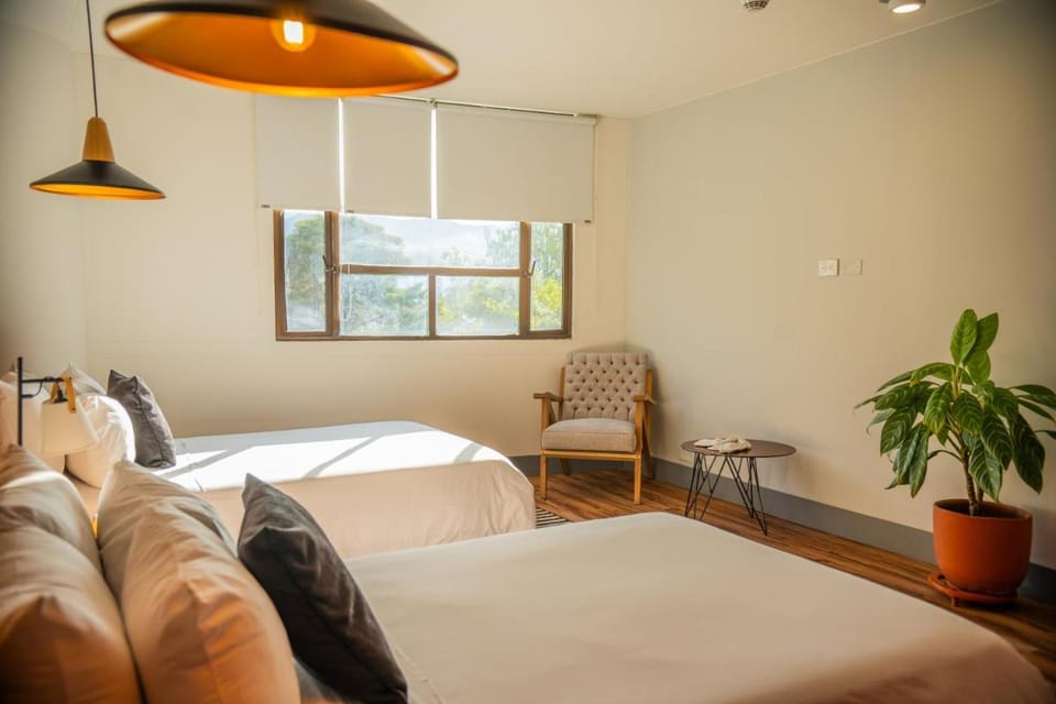 Socialtel Medellin Hotel in Medellin